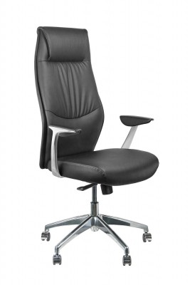 Кресло для руководителя Riva Chair RCH А9184+Чёрный